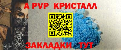крисы Камышлов