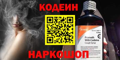 крисы Камышлов