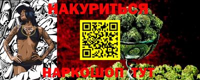 крисы Камышлов