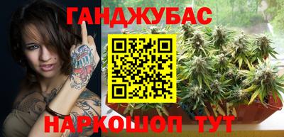 крисы Камышлов