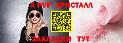 крисы Камышлов