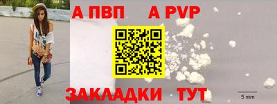 крисы Камышлов
