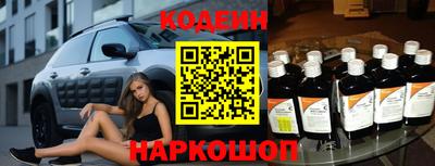 крисы Камышлов