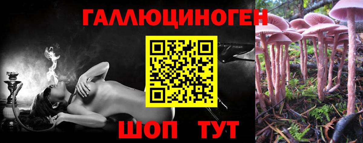 Псилоцибиновые грибы мицелий  Вход с VPN  где можно купить наркотик  Комсомольск-на-Амуре 