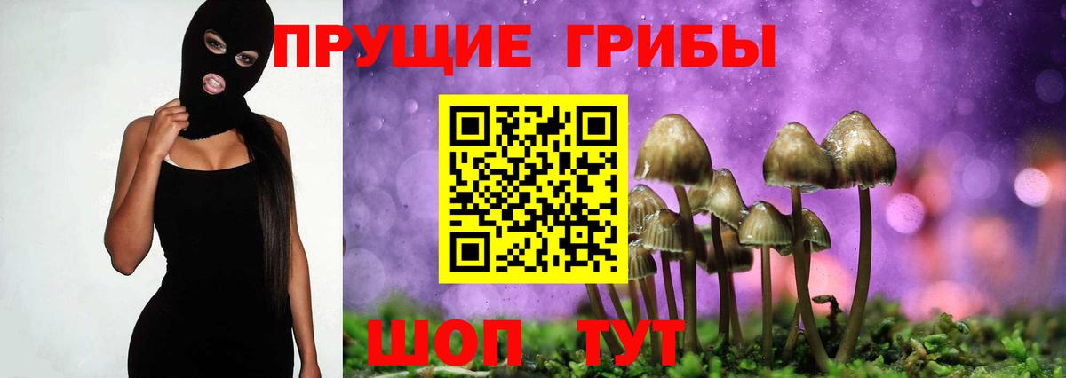 Псилоцибиновые грибы мицелий Комсомольск-на-Амуре